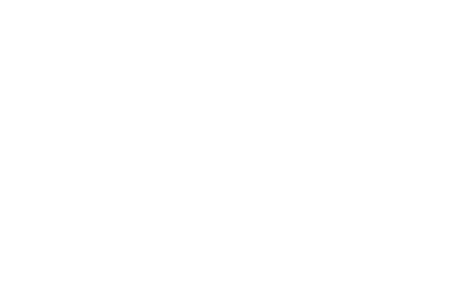 ADG Renovations 2024